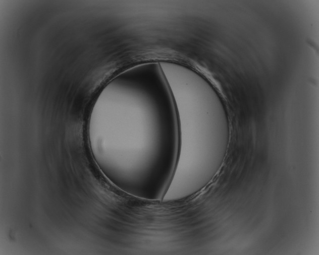 X0000096650154200802050942