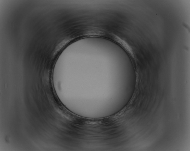 X0000096650155200802050942