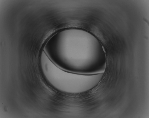 X0000096650156200802050942