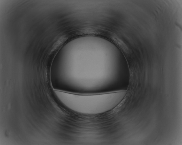 X0000096650158200802050942