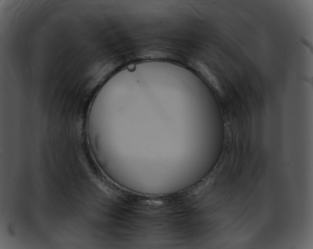 X0000096650159200802050942