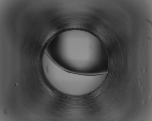 X0000096650160200802050942