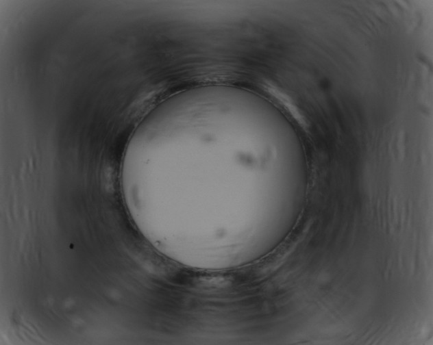 X0000096650161200802050942