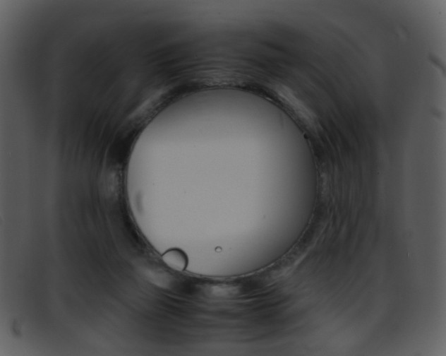 X0000096650165200802050942