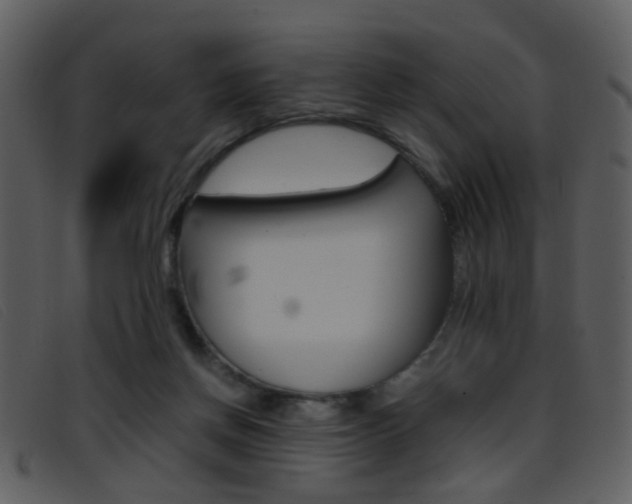 X0000096650166200802050942