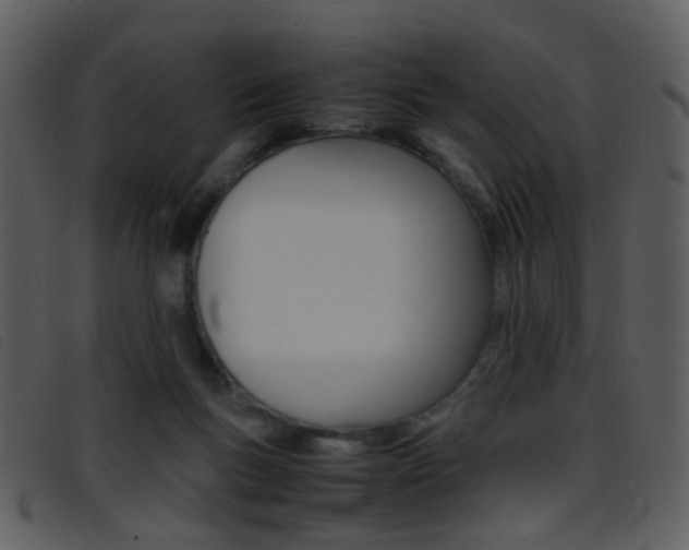 X0000096650167200802050942