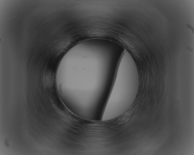 X0000096650168200802050942