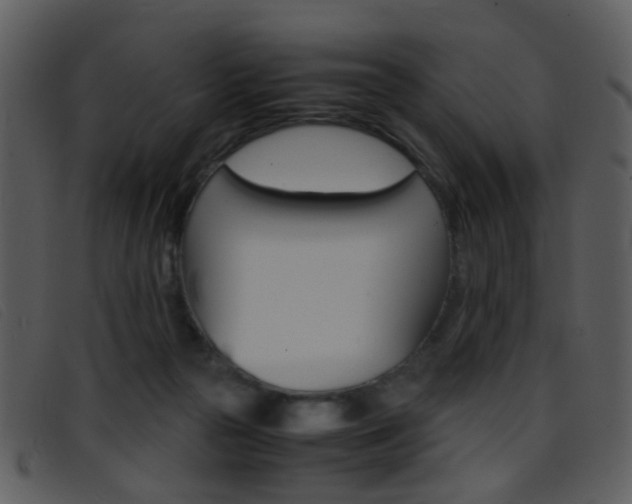 X0000096650169200802050942
