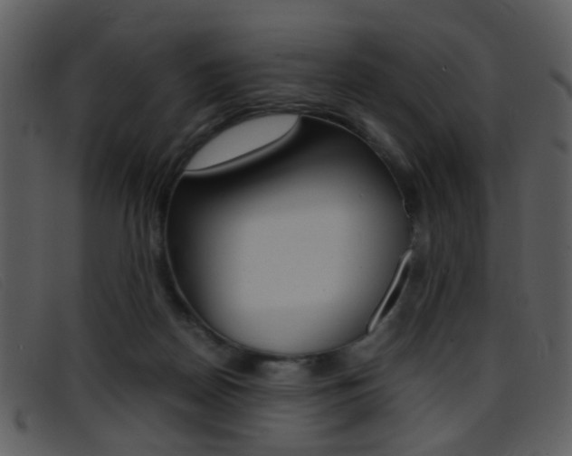 X0000096650170200802050942