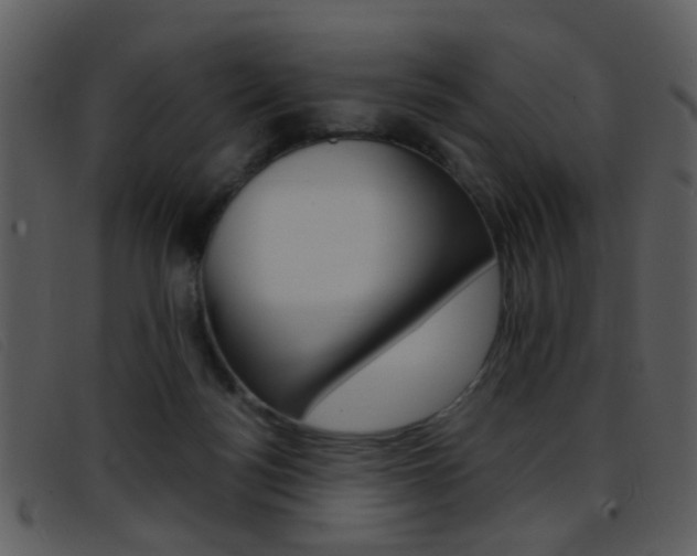 X0000096650172200802050942
