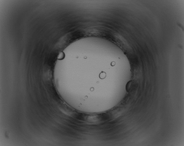 X0000096650173200802050942