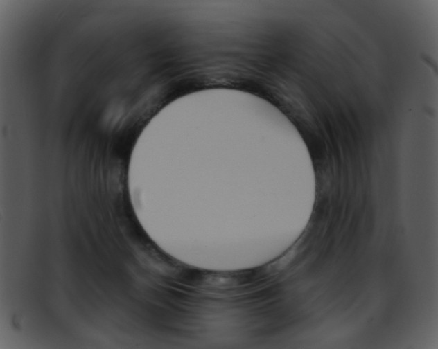 X0000096650174200802050942