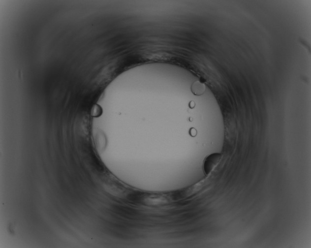 X0000096650175200802050942