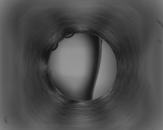 X0000096650176200802050942