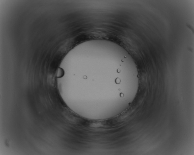 X0000096650177200802050942