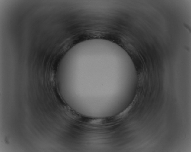 X0000096650178200802050942