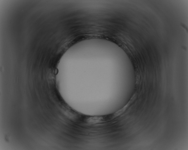 X0000096650179200802050942