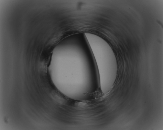 X0000096650180200802050942