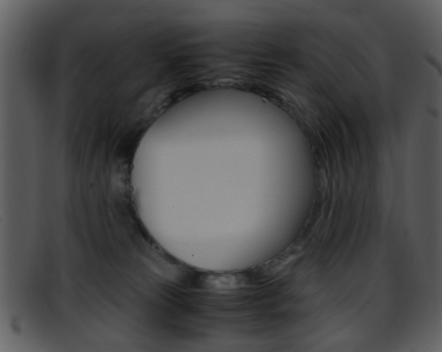 X0000096650181200802050942
