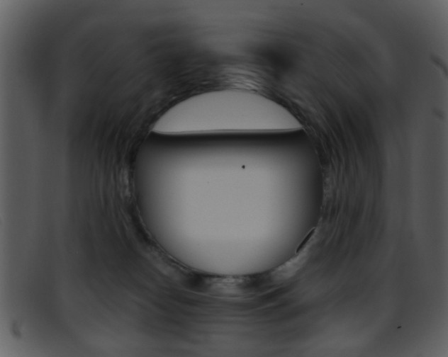 X0000096650182200802050942