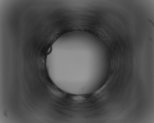 X0000096650183200802050942