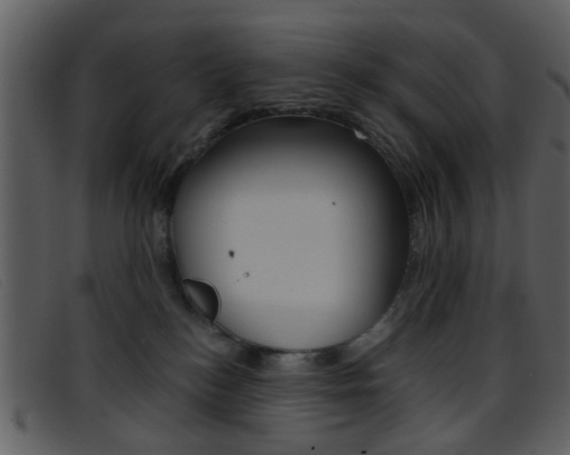 X0000096650184200802050942