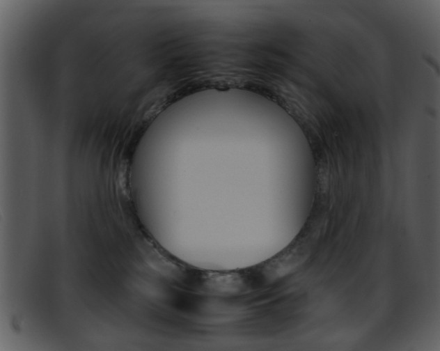 X0000096650185200802050942