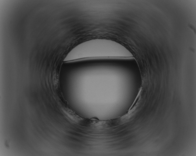 X0000096650186200802050942