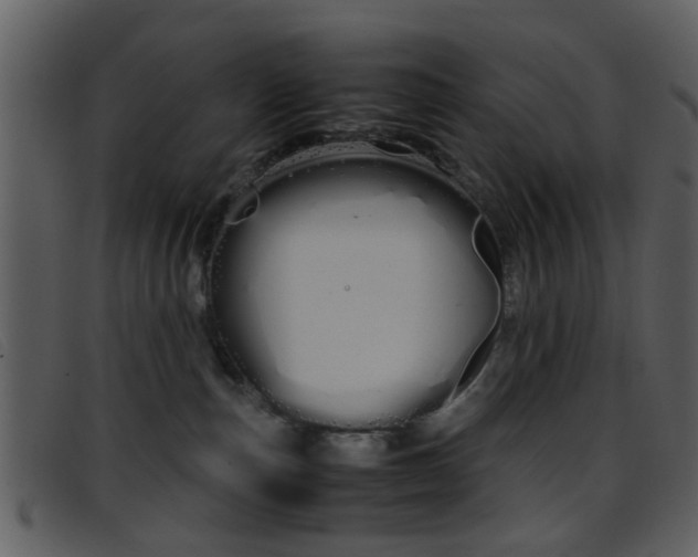 X0000096650187200802050942
