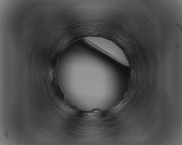 X0000096650188200802050942