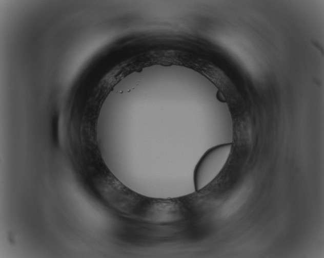 X0000096650189200802050942