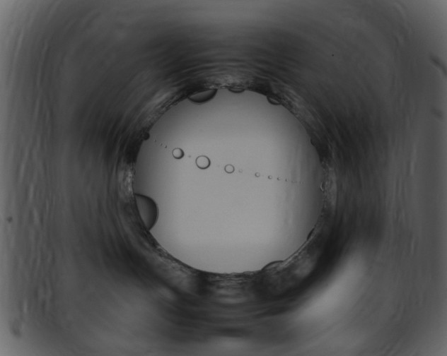 X0000096650191200802050942