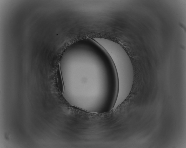 X0000096650192200802050942