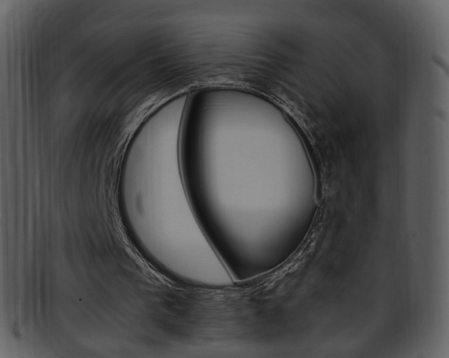 X0000096650193200802050942
