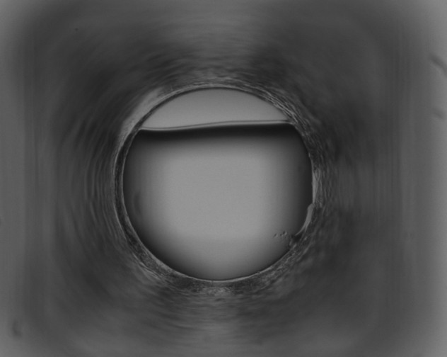 X0000096650195200802050942