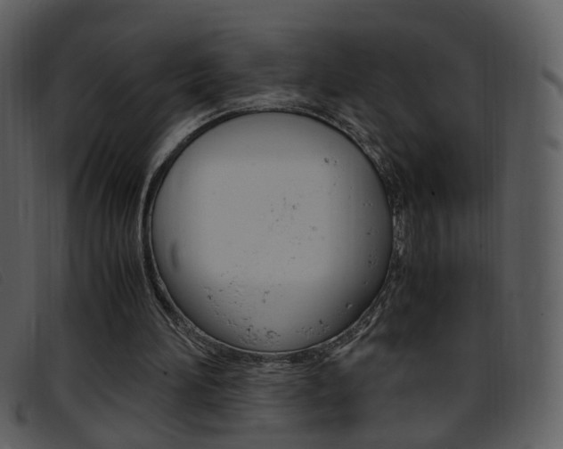 X0000096650196200802050942