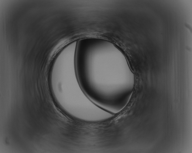 X0000096650197200802050942