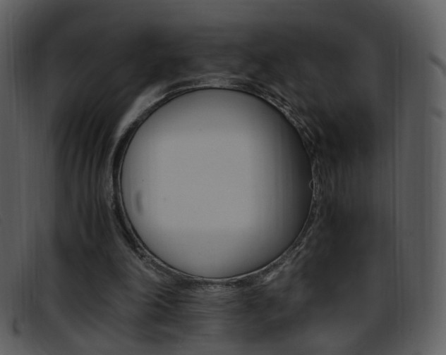 X0000096650198200802050942