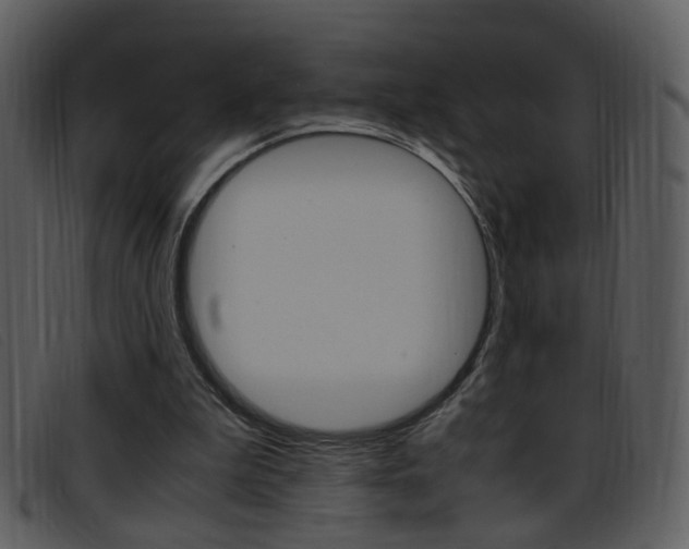 X0000096650199200802050941