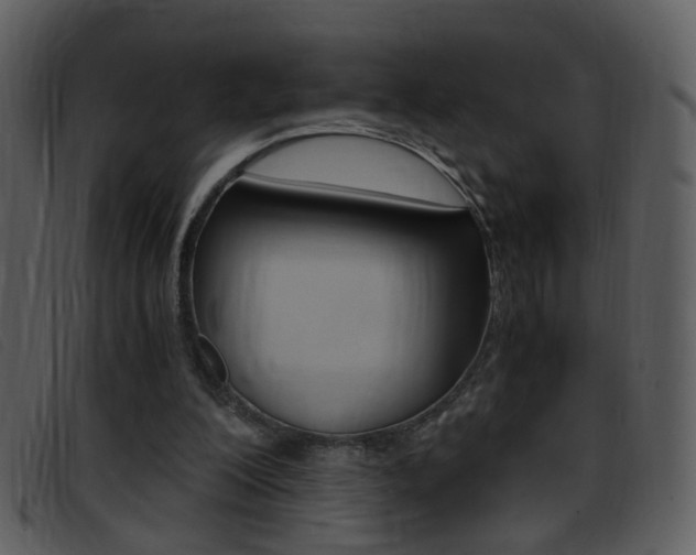 X0000096650200200802050941