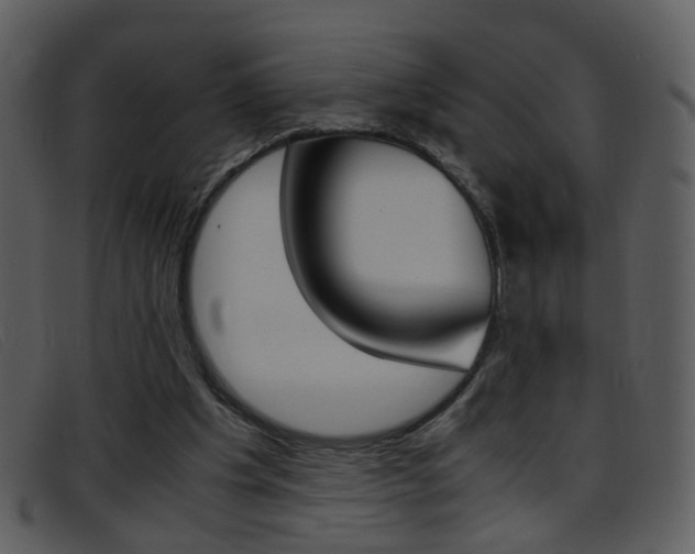 X0000096650201200802050941