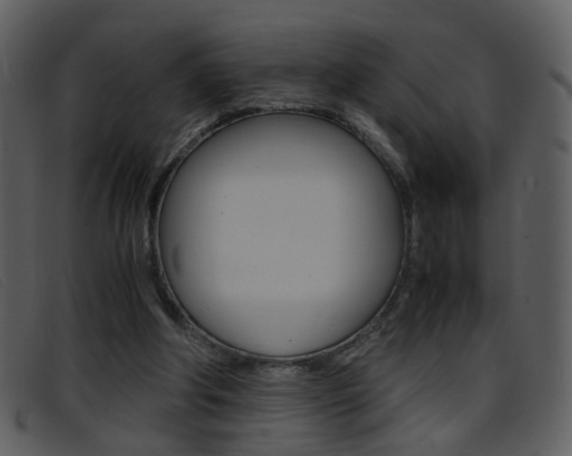X0000096650202200802050941