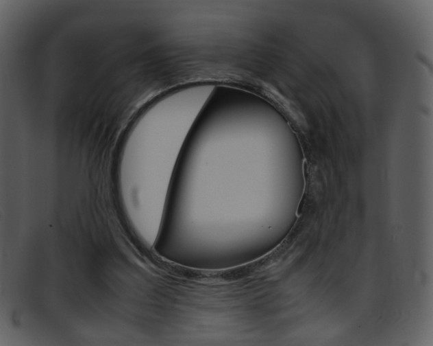 X0000096650203200802050941