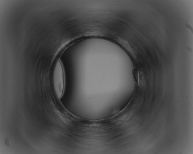X0000096650204200802050941
