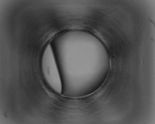 X0000096650205200802050941