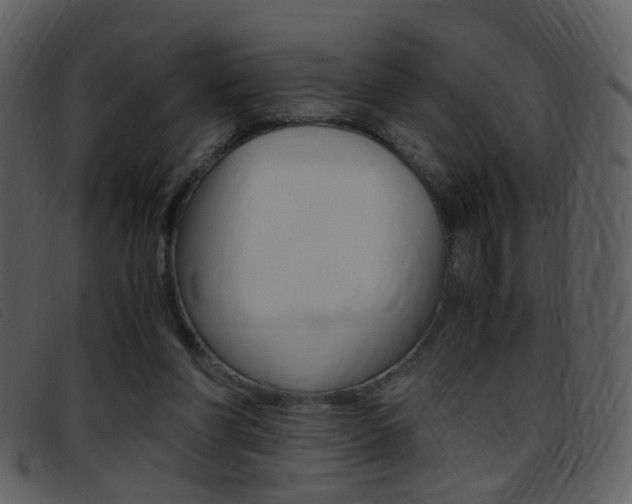 X0000096650206200802050941