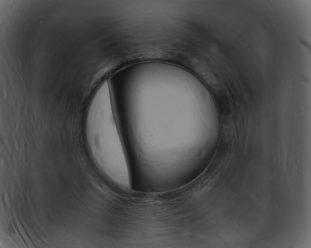 X0000096650207200802050941