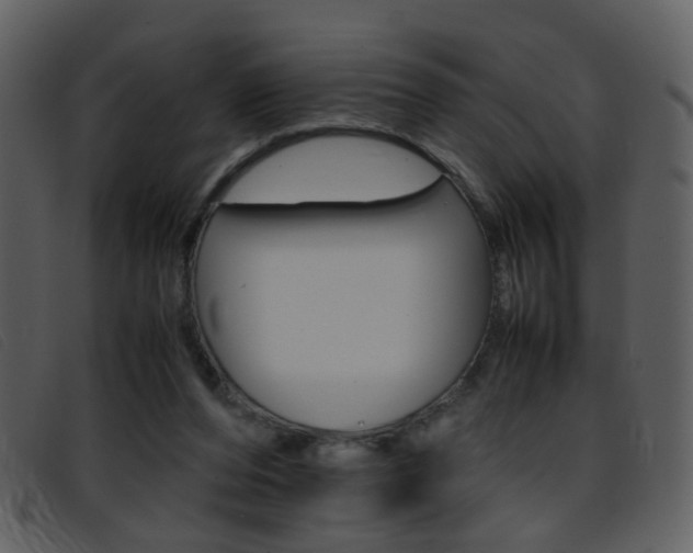 X0000096650208200802050941