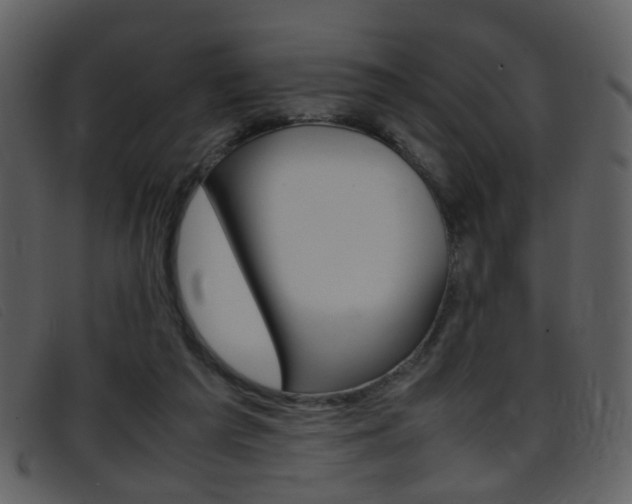 X0000096650209200802050941