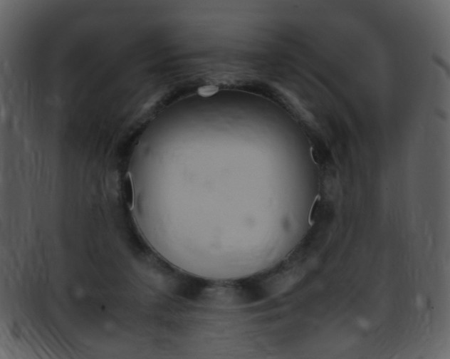 X0000096650211200802050941